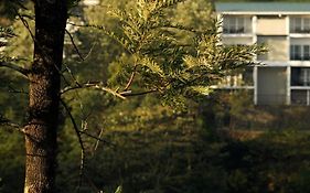 Falcon Crest Otel 3*