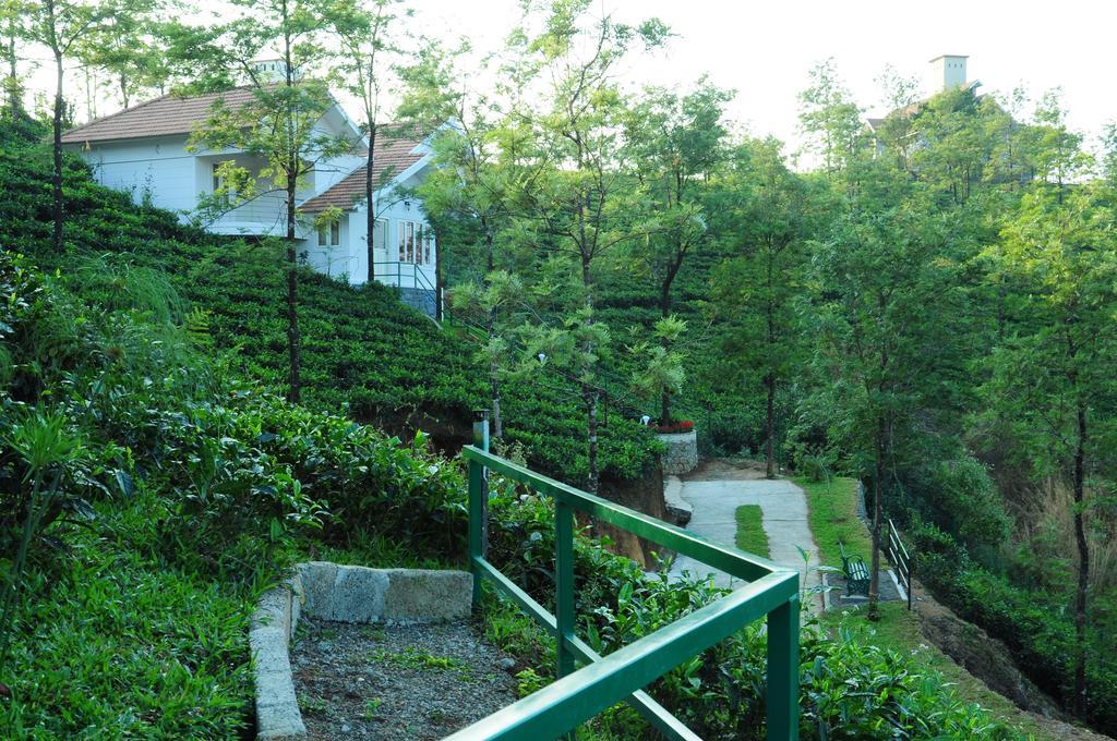 Falcon Crest Vagamon Oda fotoğraf